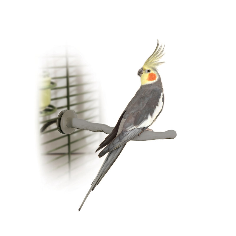 Metal Bird Perch for Inside Cage, Small (1" x 10.5")