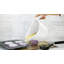 Ebern Designs Alicio Plastic Batter Bowl-1045022227