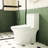 Ceramic Comfort Height Toilet, 1.1/1.6 Flush, White, Soft Close Seat, & One Flushing, Height, And Approved