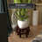 Eastep Wood Vase Stand-520994605