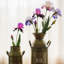 Tige artificielle de fleur irise-1598102528-1598102530