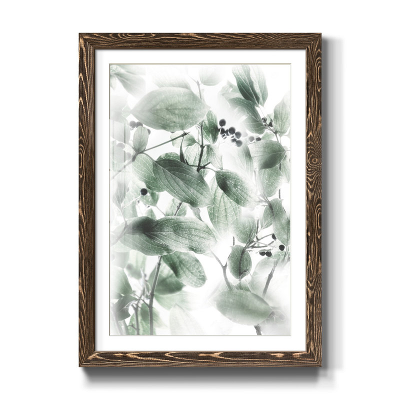 Berry Blush II - Reproduction d'art graphique sur papier encadré, H 31,5 po x l 23,5 po x P 1,5 po, Noyer