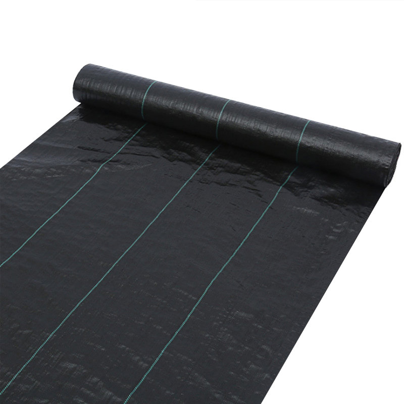 Tapis de jardin 4Ftx50ft, H 600 po x l 48 po x P 1 po
