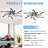 Derekia 31'' Ceiling Fan with LED Lights