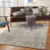 Maliana Abstract Beige/Gray Area Rug