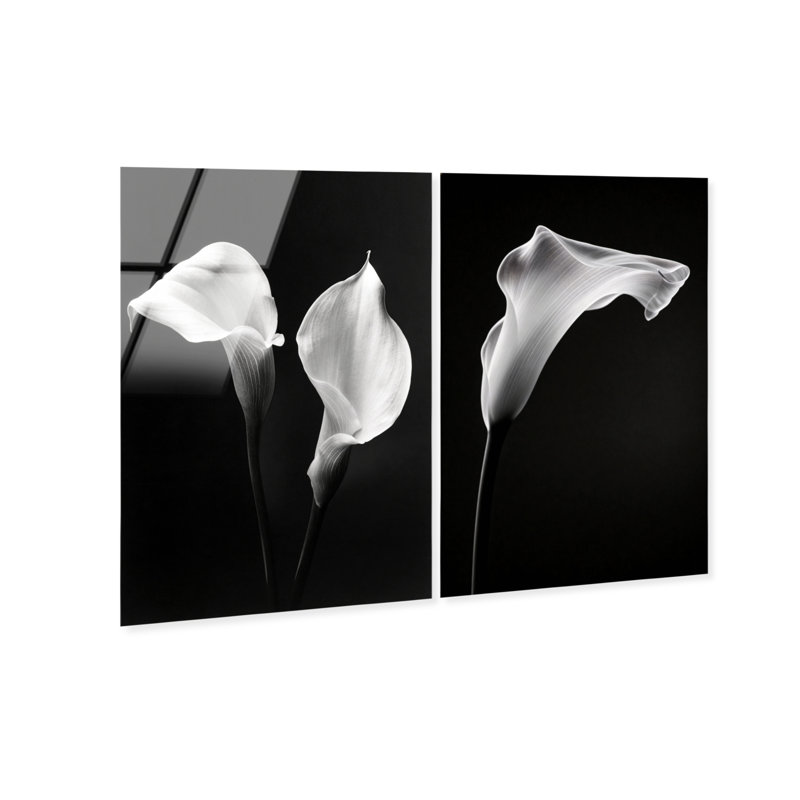 Calla Lily Set High-Gloss Frameless Acrylic Glass Wall Art Floral & Botanical Print by Oliver Gal, Ready to Hang, 10 x 15