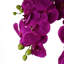Real Touch Artificial Orchids Plastic, Silk Artificial Arrangement in Planter-88685006-107236911