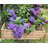 Debarked Willow Raised Bed Vertical Weave-116627675