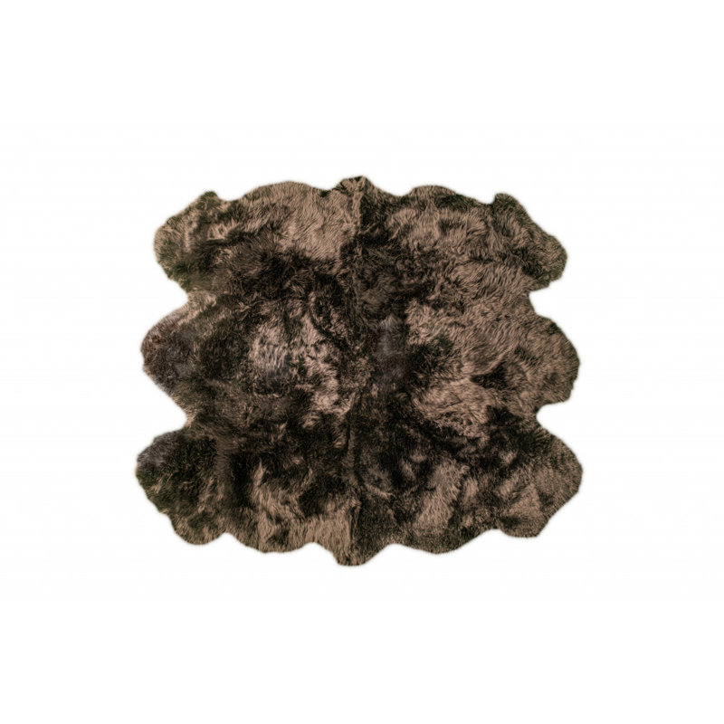 Tapis noir / brun Novelty, Nouveauté : 5 pi x 6 pi