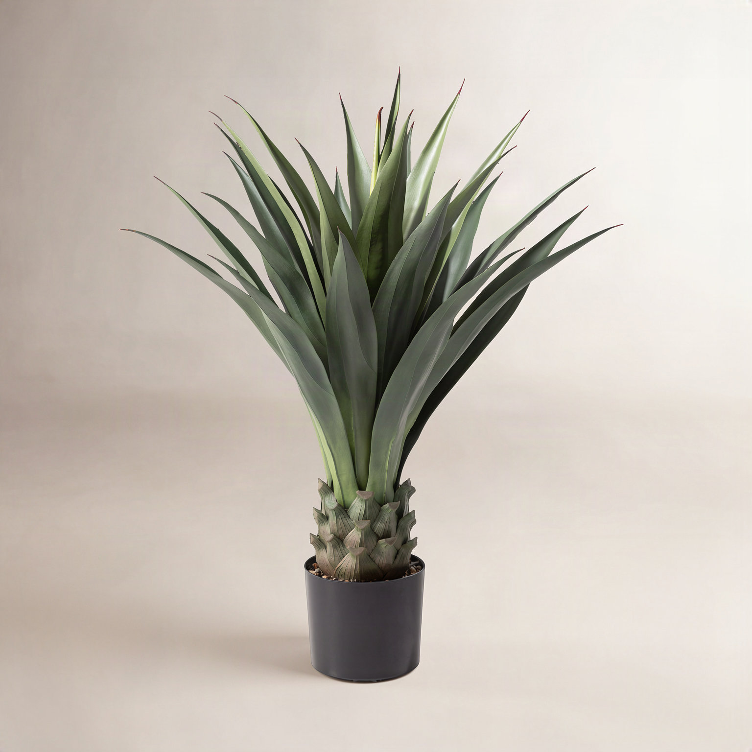 39" Agave Plant in Pot