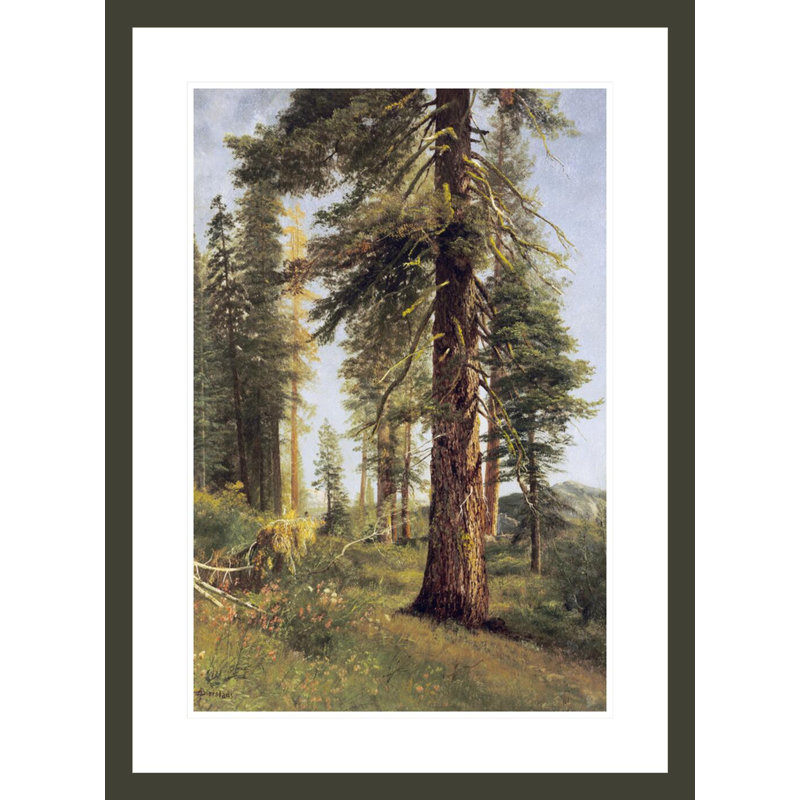 «California Redwoods» par Albert Bierstadt, impression giclée encadrée, H 29,5 po x l 21,73 po