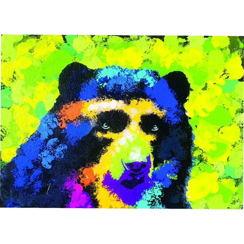 Oso Andino