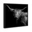 Realistic Black And White Highland Cow Photography Print by Oliver Gal-69341779-69341780