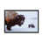 Black Floater Frame