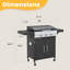 Propane Grill