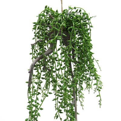 Plante grasse artificielle suspendue 20,5 po Donkeytail