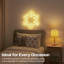 Indoor / Outdoor Lighted Window Décor