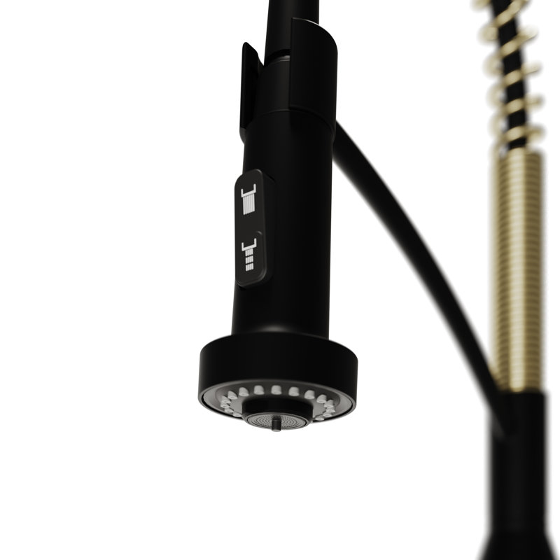 Karran Scottsdale Single-Handle Pull-Down Sprayer Commercial Style Kitchen Faucet in Matte Black / Spot-Free Brushed Gold