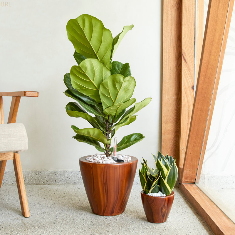 Ensemble de 2 pots à fleurs, Marron clair