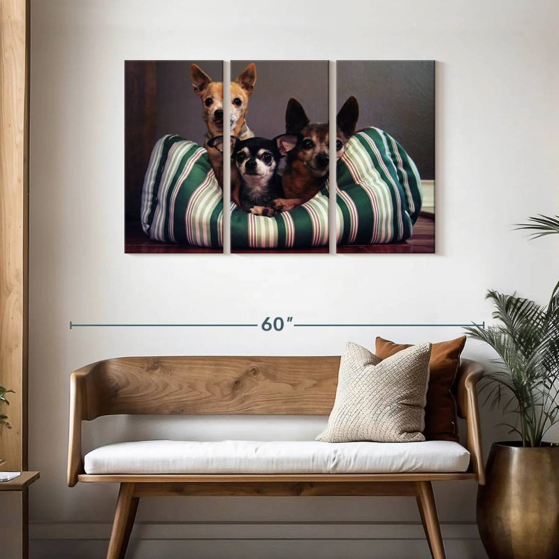 Chihuahua Friends, H 28 po x l 45 po