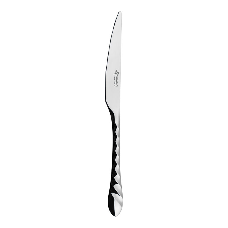 Whitting Stainless Steel Dinner Knife