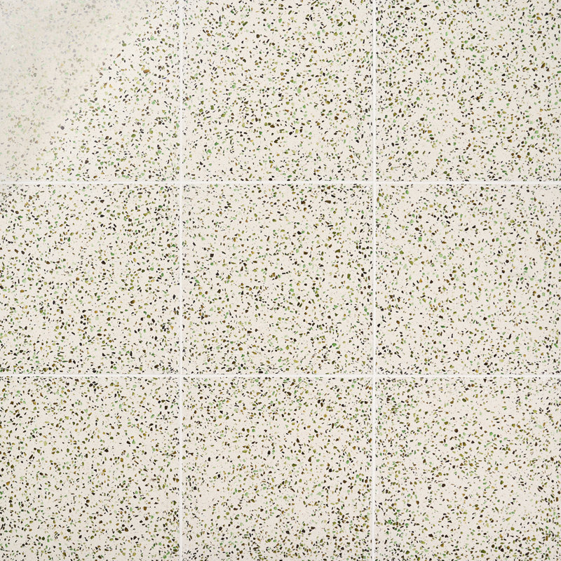 Veritas Terrazzo 16X16 Polished Terrazzo Tile, Green/Beige