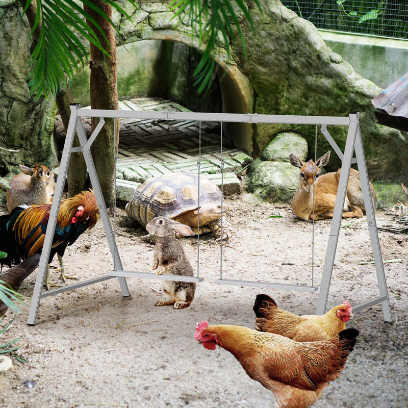 Perchoir à structure de jeu avec 2 balançoires pour poules, oiseaux, volaille, gris
