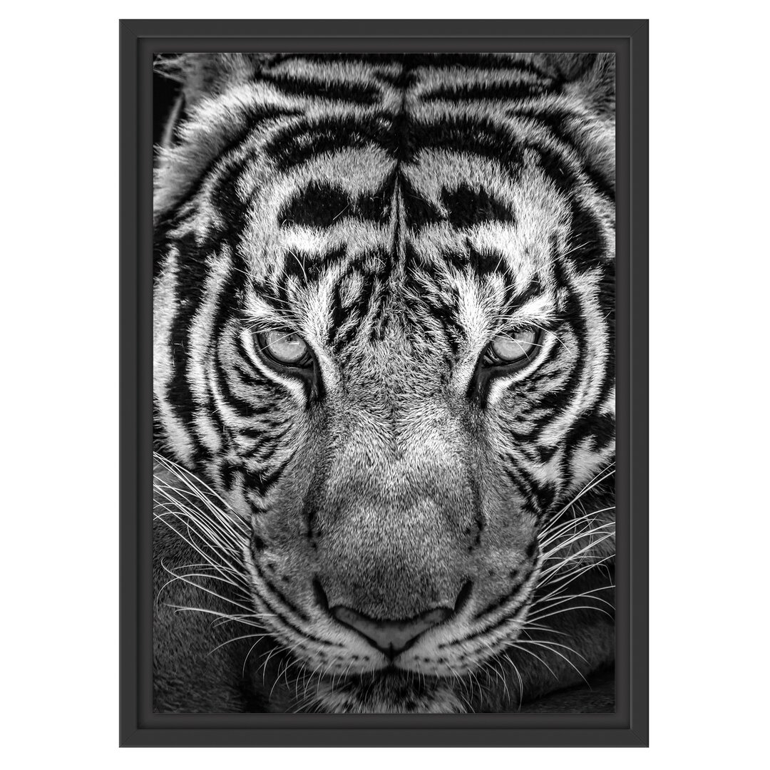 Gerahmtes Wandbild Tiger mit Augen