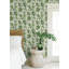 Green Caryota Peel & Stick Wallpaper