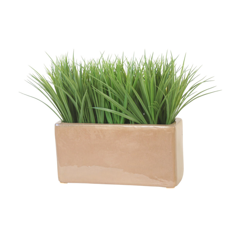 Green Grass in Mocha Planter