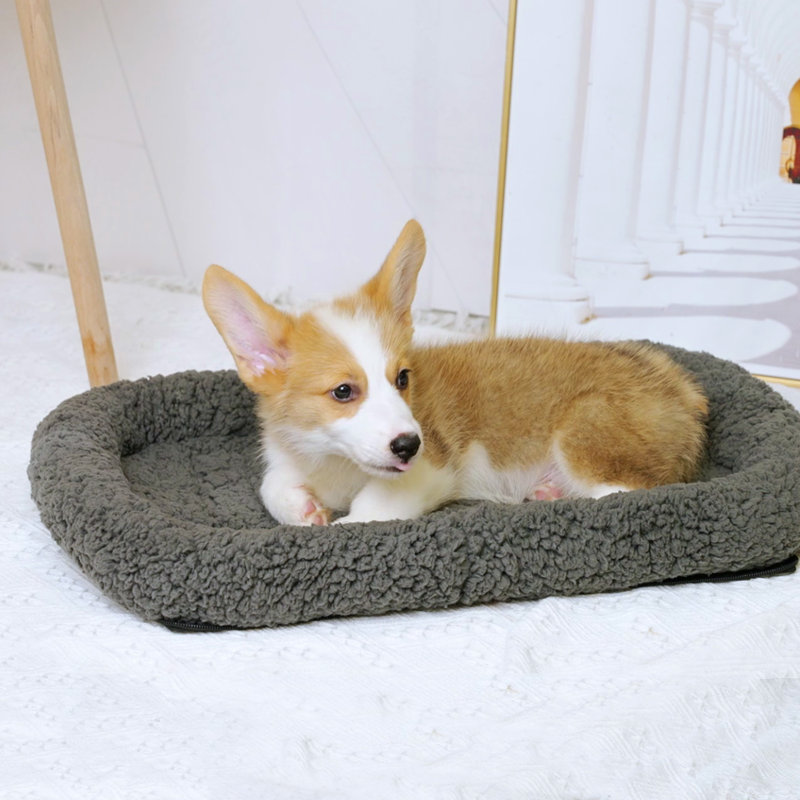 Tapis de matelas pour chien, H 2,8 po x l 46 po x P 28 po