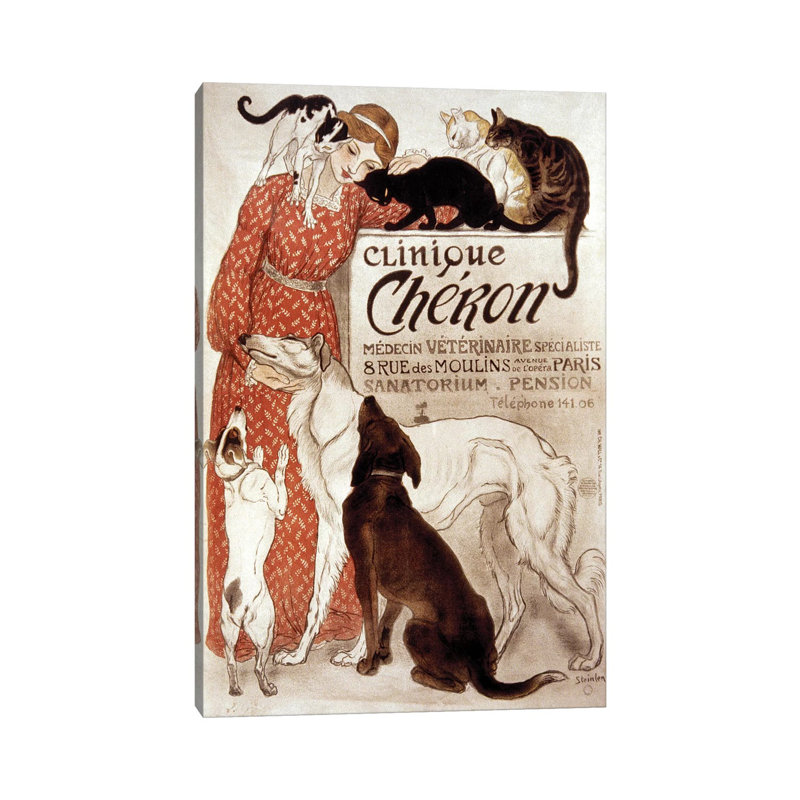 French Veterinary Clinic. by Theophile Alexandre Steinlen - Wrapped Canvas Print, 66.04 cm H x 45.72 cm W x 3.175 cm D