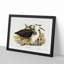 Pacific Herons by Elizabeth Gould - Picture Frame Painting Print-55578068-55578070