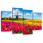 Champ de tulipes Alvord Holland-108837411