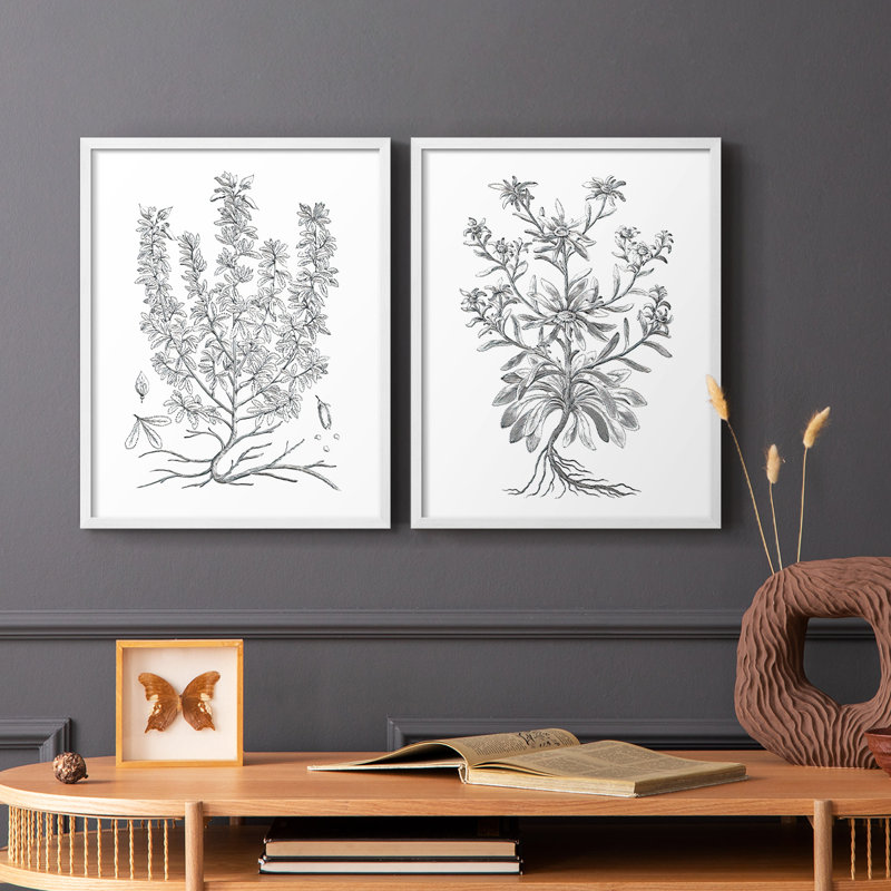 Reproduction encadrée V-Premium de B & W Plant - prêt à être accroché - aucun clou requis - aucun clou requis, Blanc