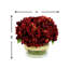 Arrangement floral Sarina Hydrangea dans un vase en verre avec mousse-1199042223