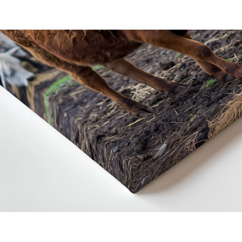 Toile dans un tableau campagnard serein, une vache brune avec un riche art mural, H 9 po x l 12 po