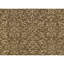 Himalayan One-of-a-Kind 6'2" X 9' Area Rug