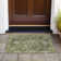 Machine Washable Indoor/Outdoor Arline ACN2165 Global Rug
