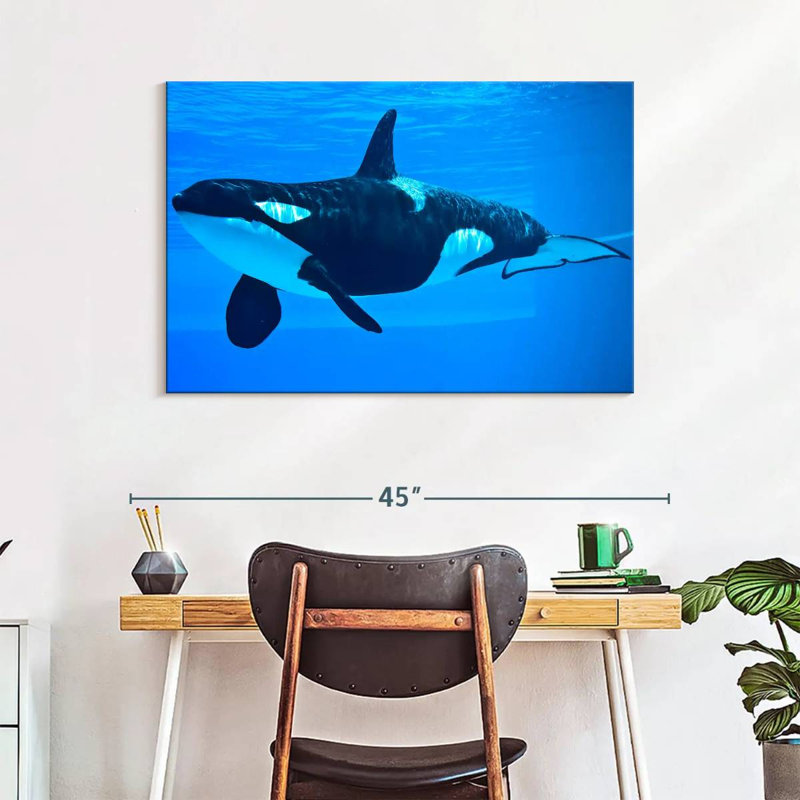 Brampt Friendly Killer Whale, 26" H x 39" W