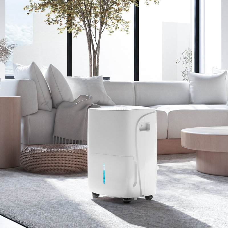 Dehumidifier