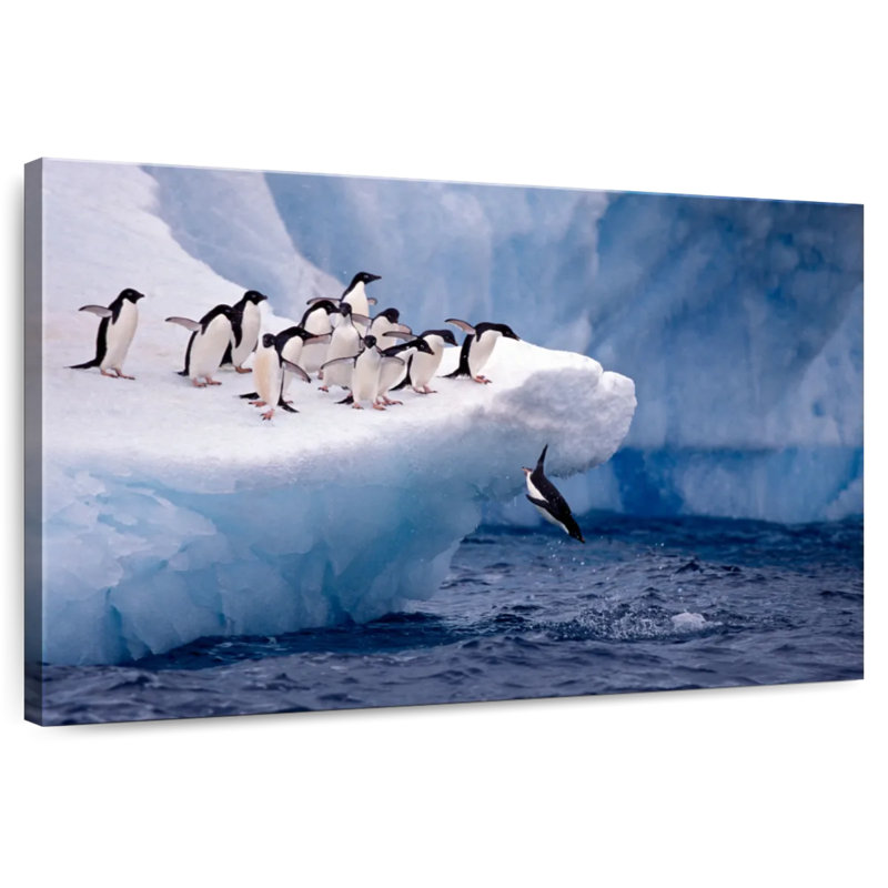 Penguins Brampt plongeant, H 8 po x l 12 po