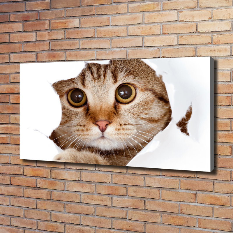 Cat - Wrapped Canvas Print