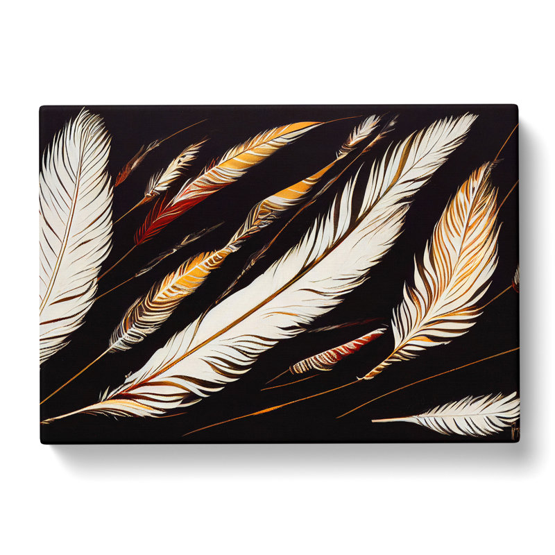 Bird Feathers - Wrapped Canvas, 35cm H x 50cm W x 3cm D