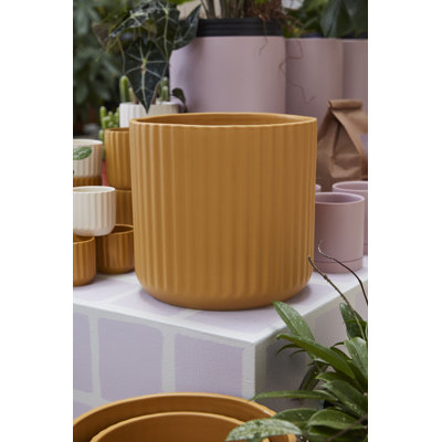 Beam Pot