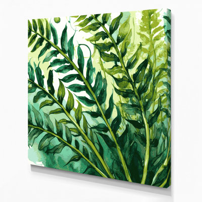 Art mural sur toile Botanical Nephrolepis