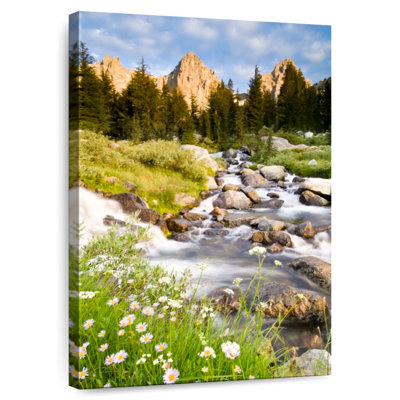 Alvord Sierra Nevada Spring