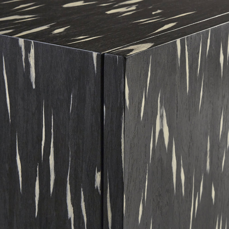 Contemporary Black Media Console with Cabinet and Diagonal Legs