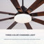 Ventilateur de plafond 72 pouces avec lumières et télécommande, utilisation intérieure / extérieure, moteur CC réversible silencieux, 6 vitesses, 8 pales pour les grandes pièces