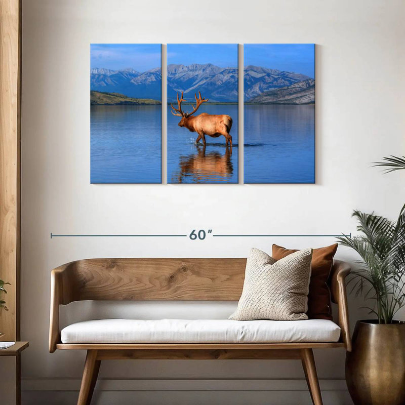 Élan du lac Jasper, H 28 po x l 45 po